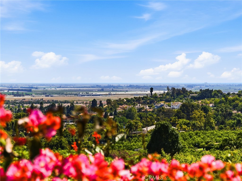 25 Encino