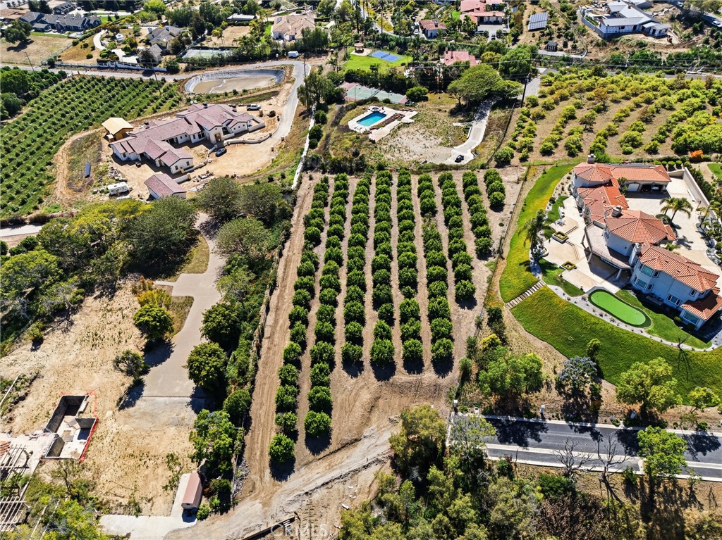 25 Encino