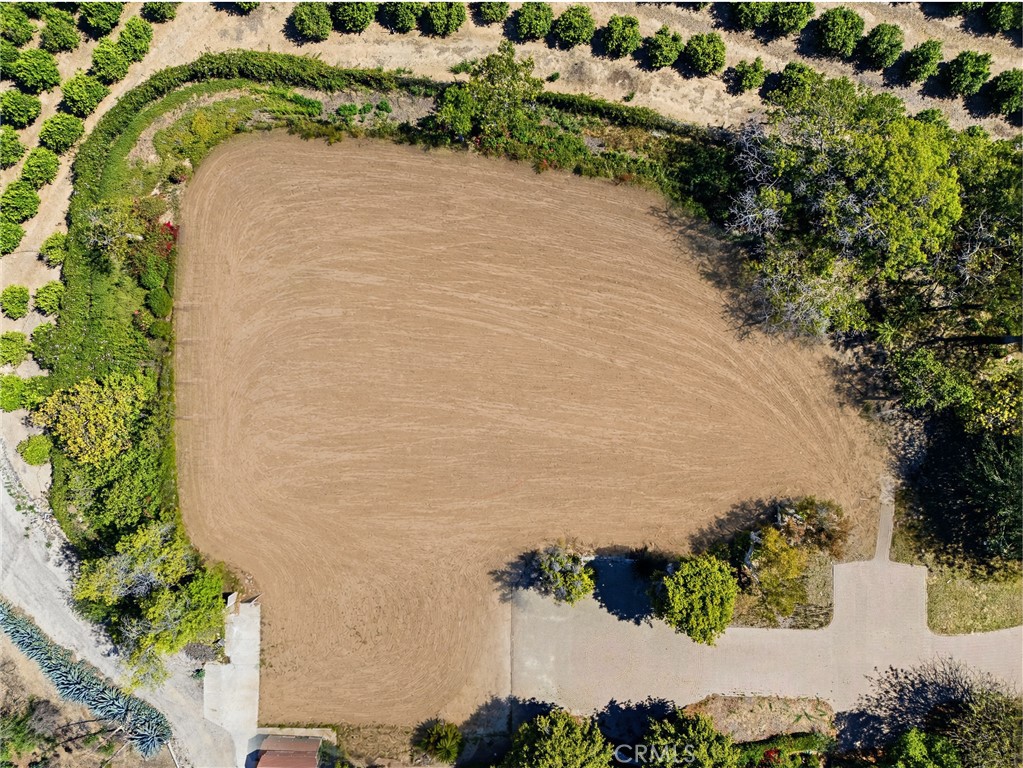 25 Encino