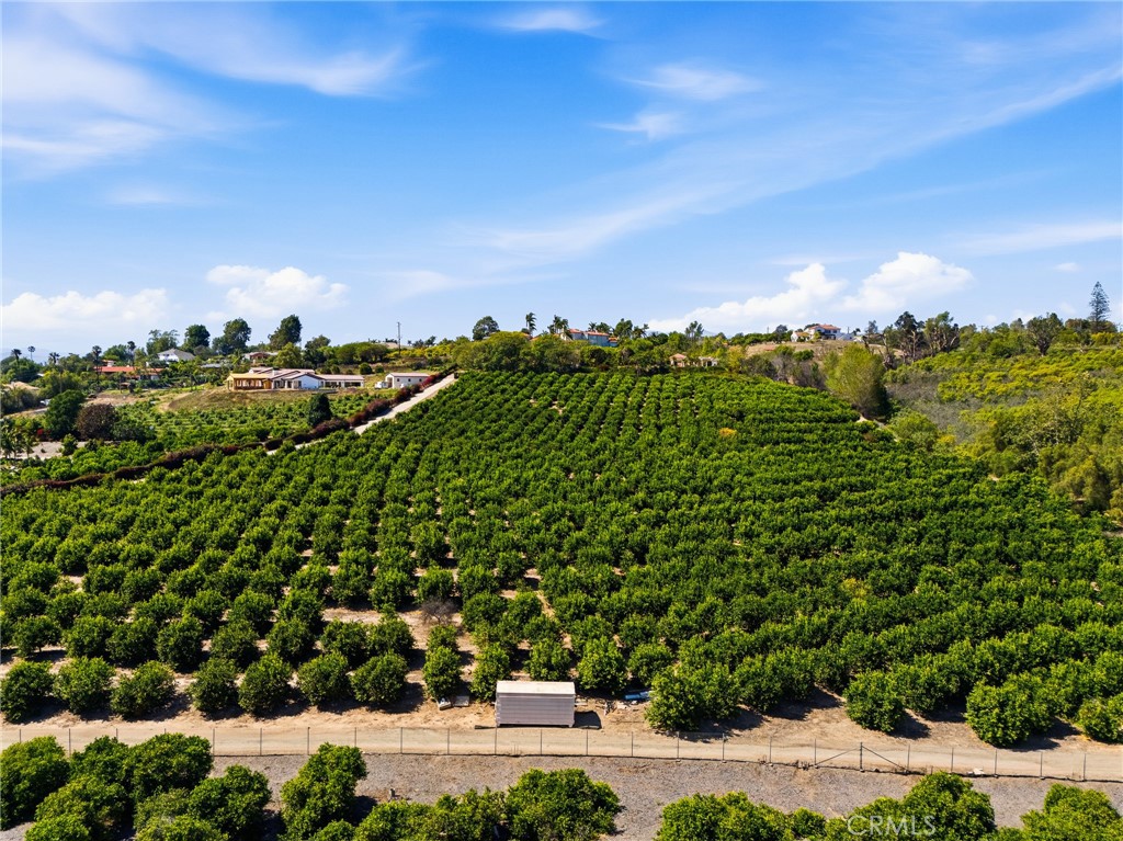 25 Encino