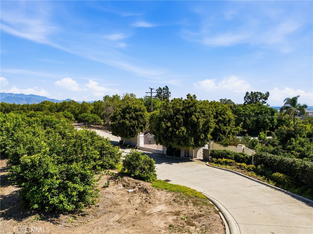 25 Encino