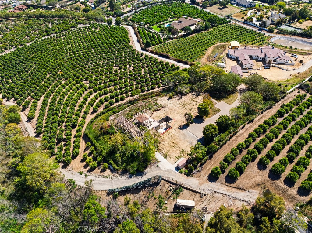 25 Encino