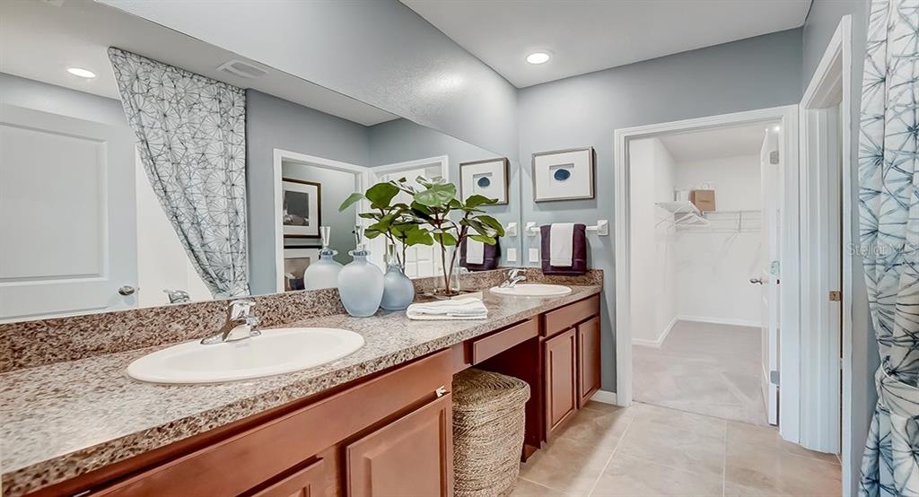 10344 BLUE PLUME CT