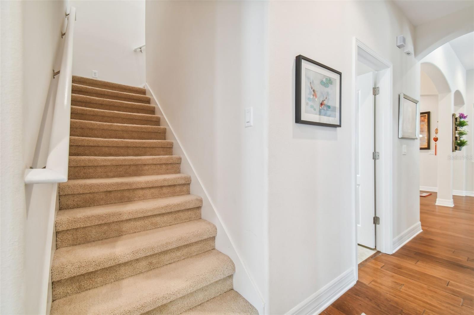 10507 MISTFLOWER LN