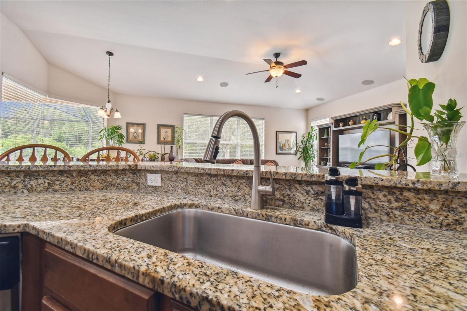 10507 MISTFLOWER LN