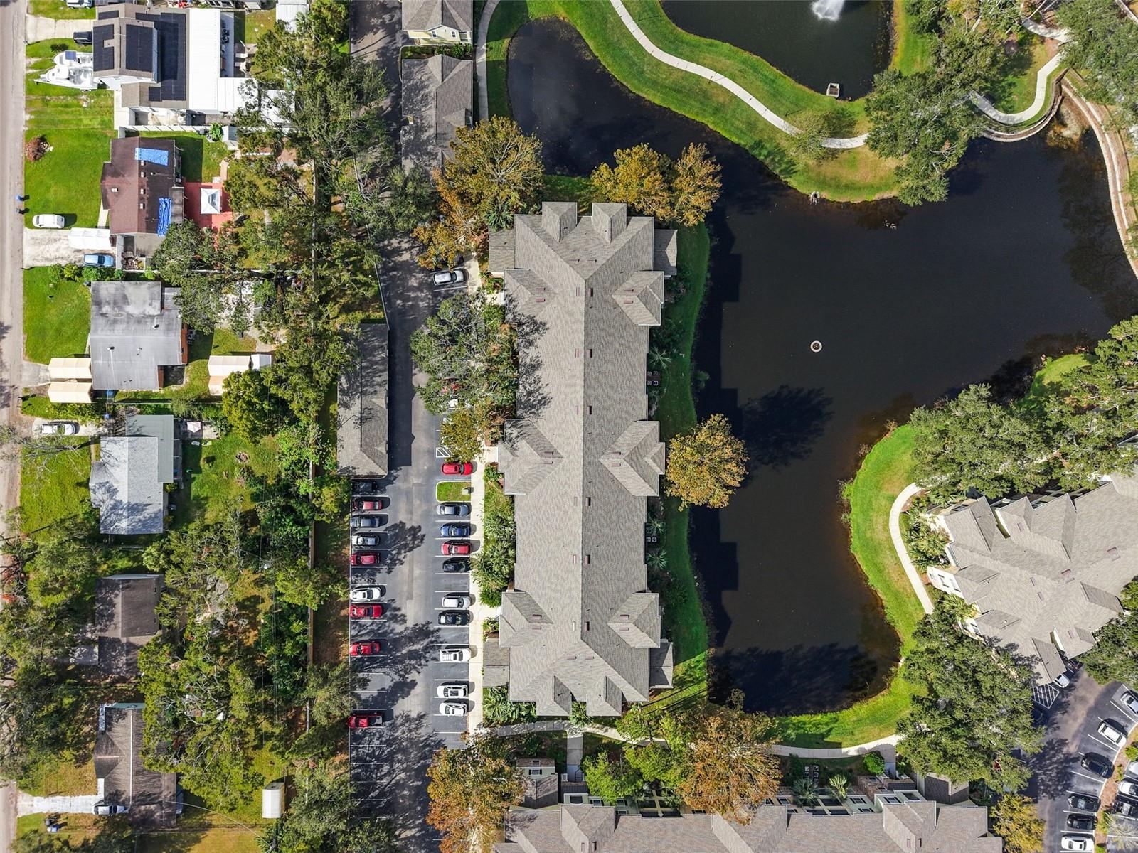 10209 COURTNEY PALMS BLVD #204