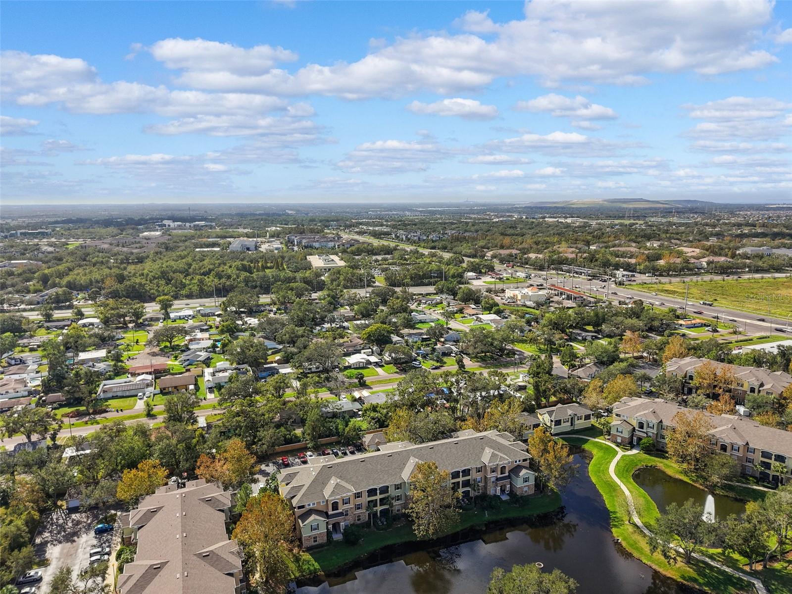 10209 COURTNEY PALMS BLVD #204