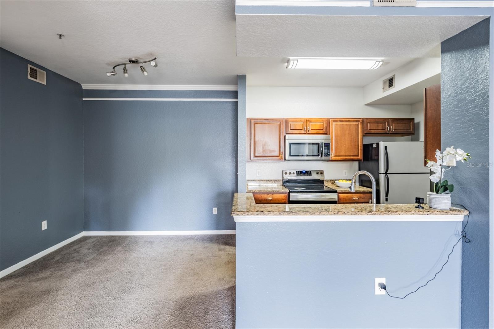 17101 CARRINGTON PARK DR #415