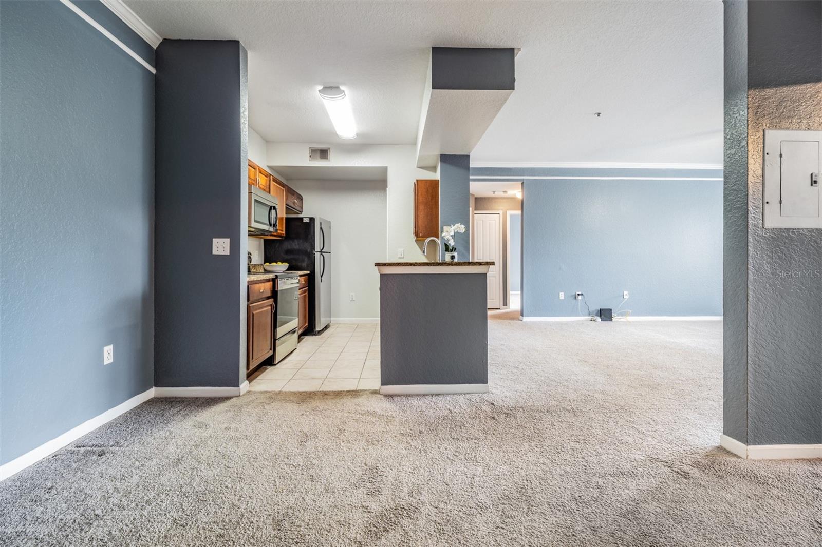 17101 CARRINGTON PARK DR #415