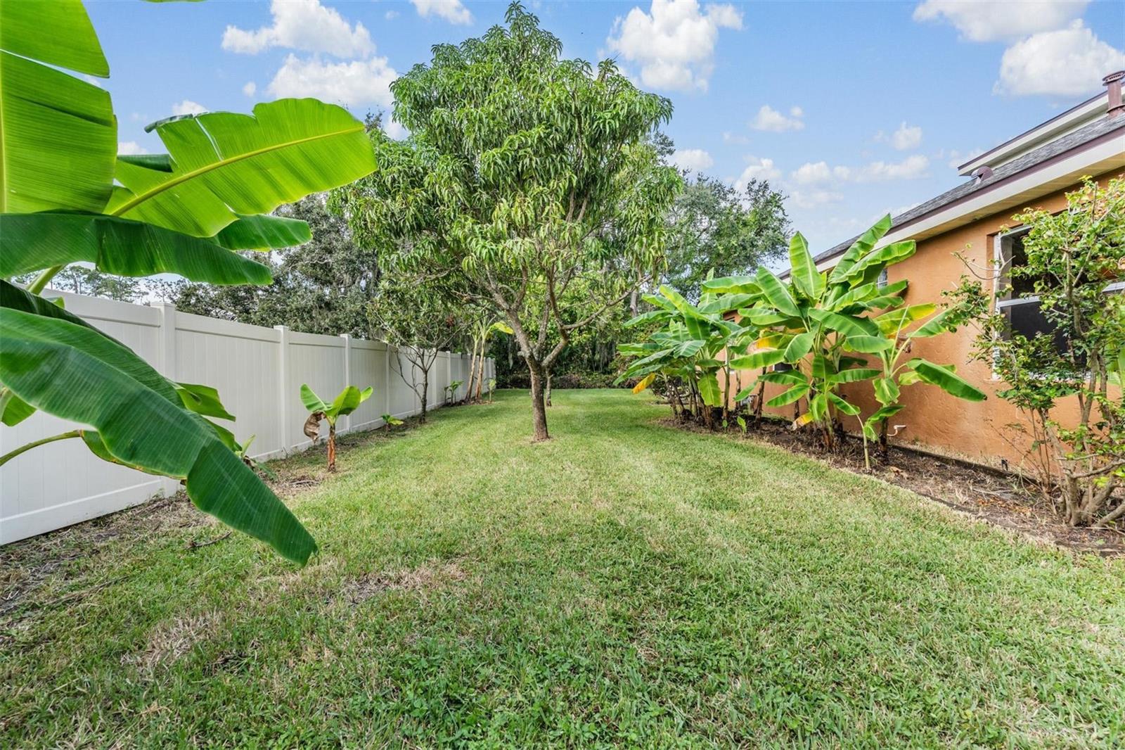 7900 UMBRELLA PINE WAY