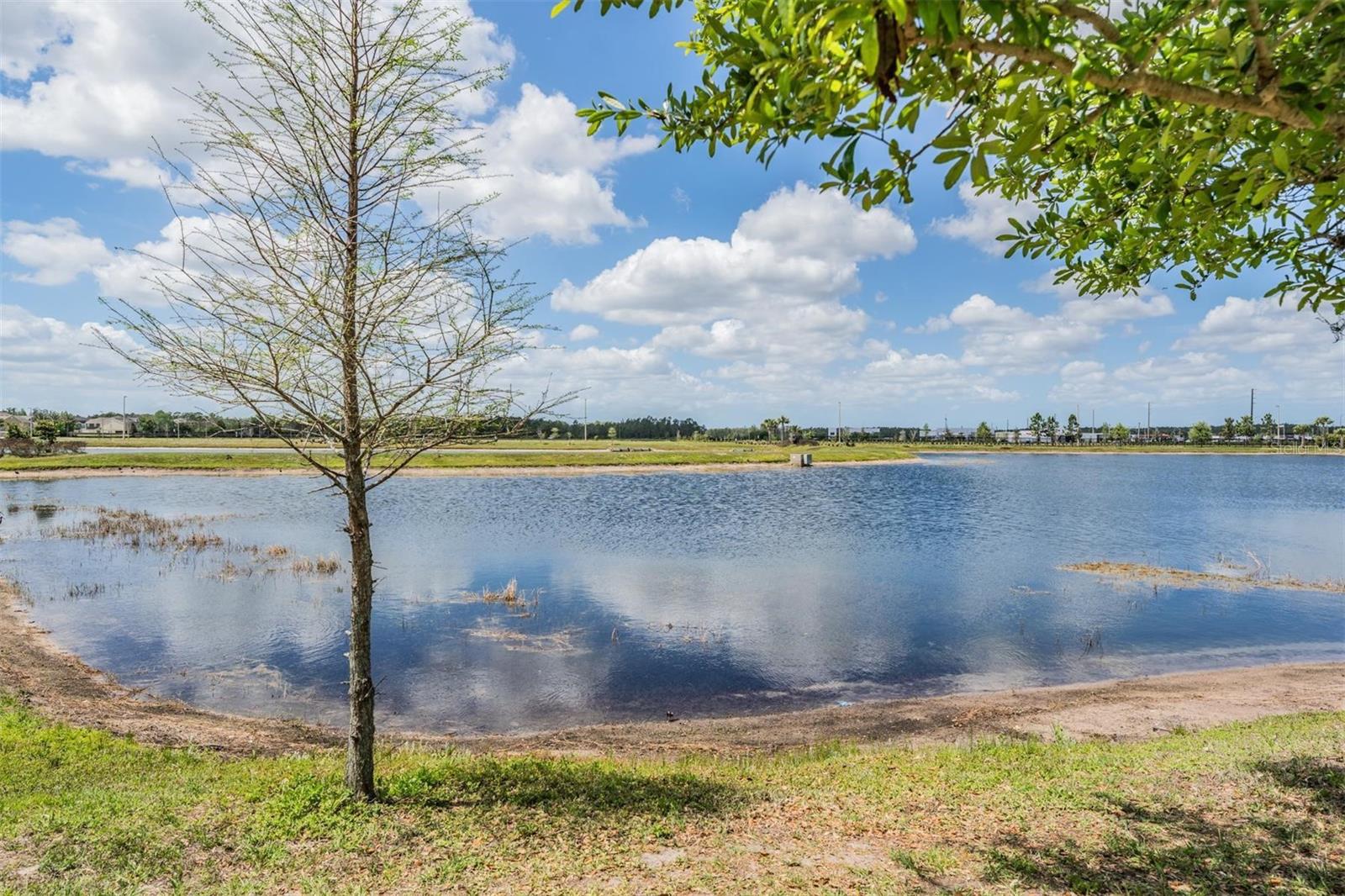 19219 BLUE POND DR