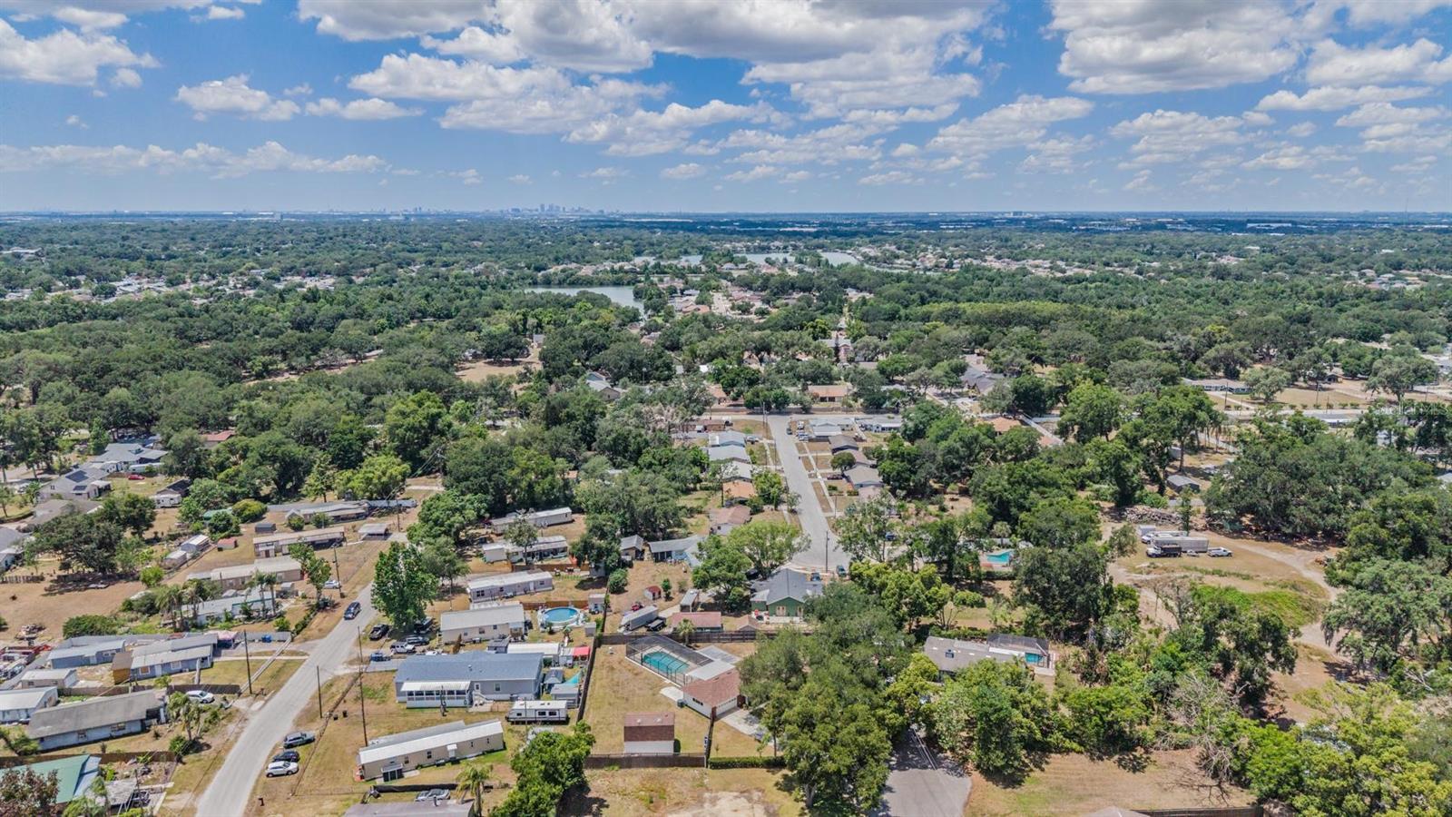 712 CAMELLIA CT