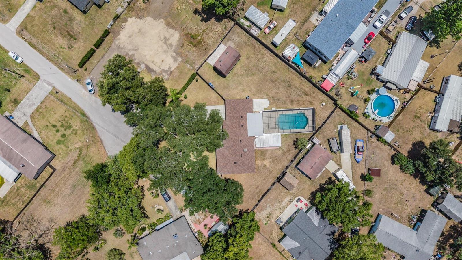 712 CAMELLIA CT