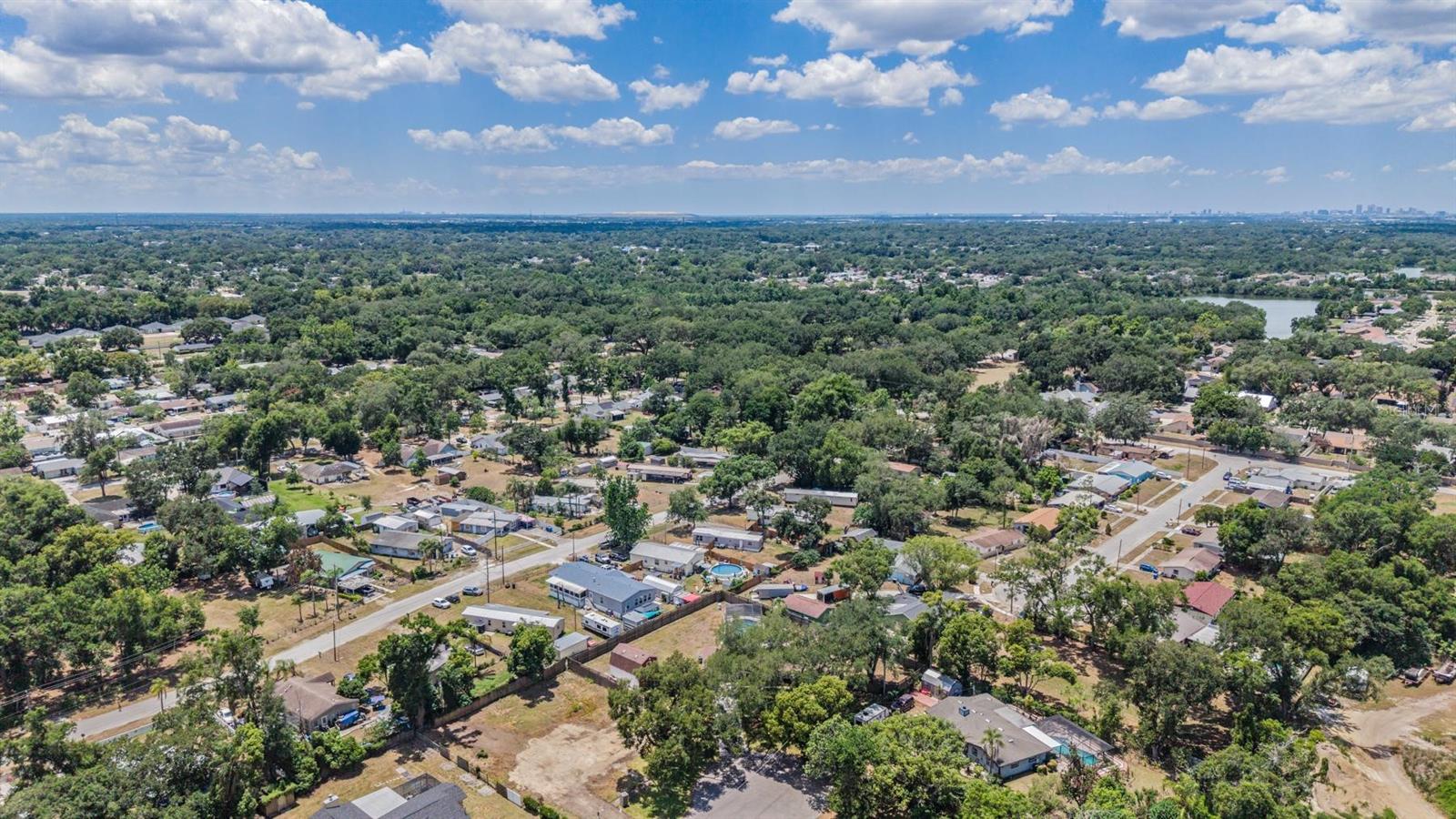 712 CAMELLIA CT