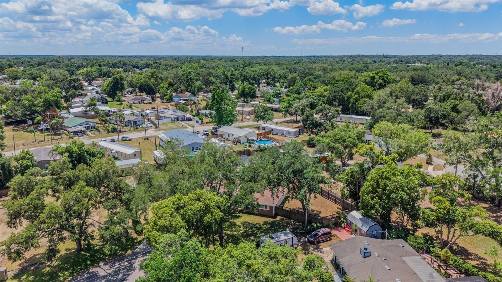 712 CAMELLIA CT