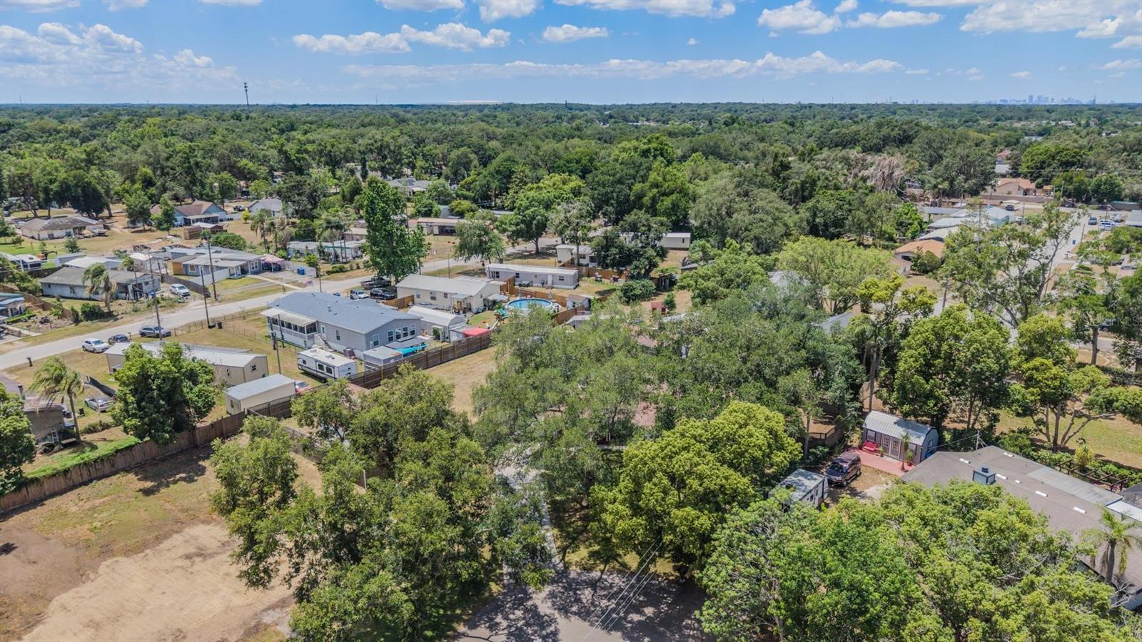 712 CAMELLIA CT