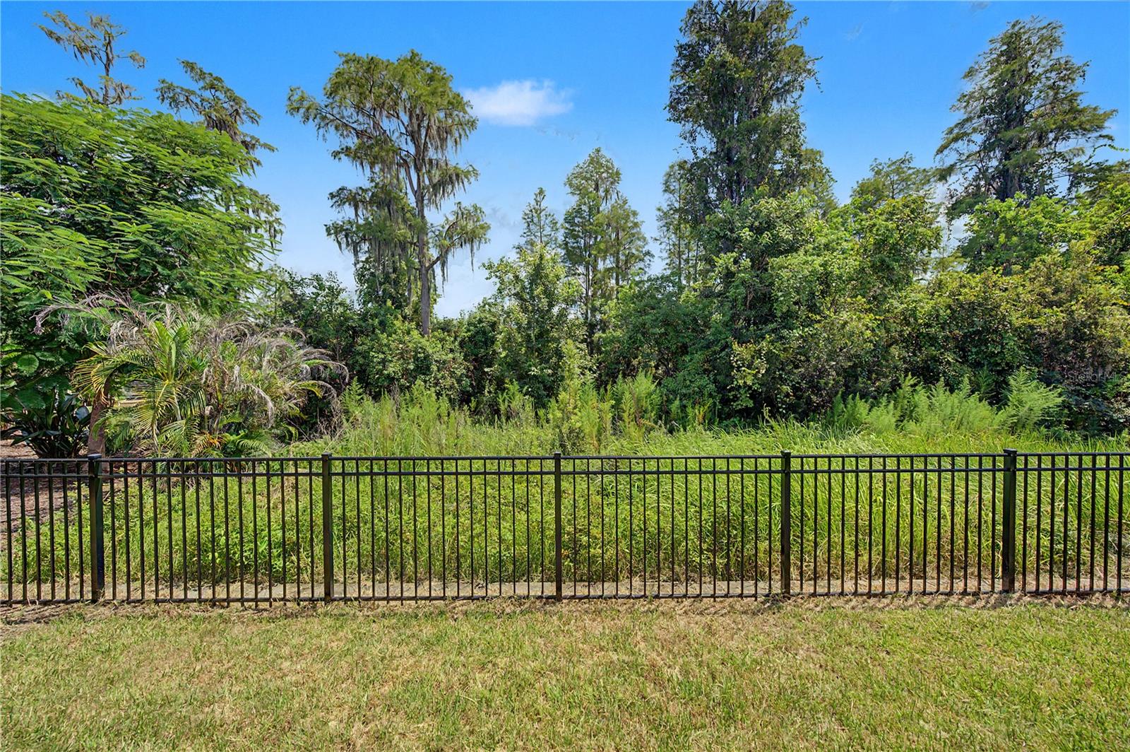 19539 ROSEATE DR