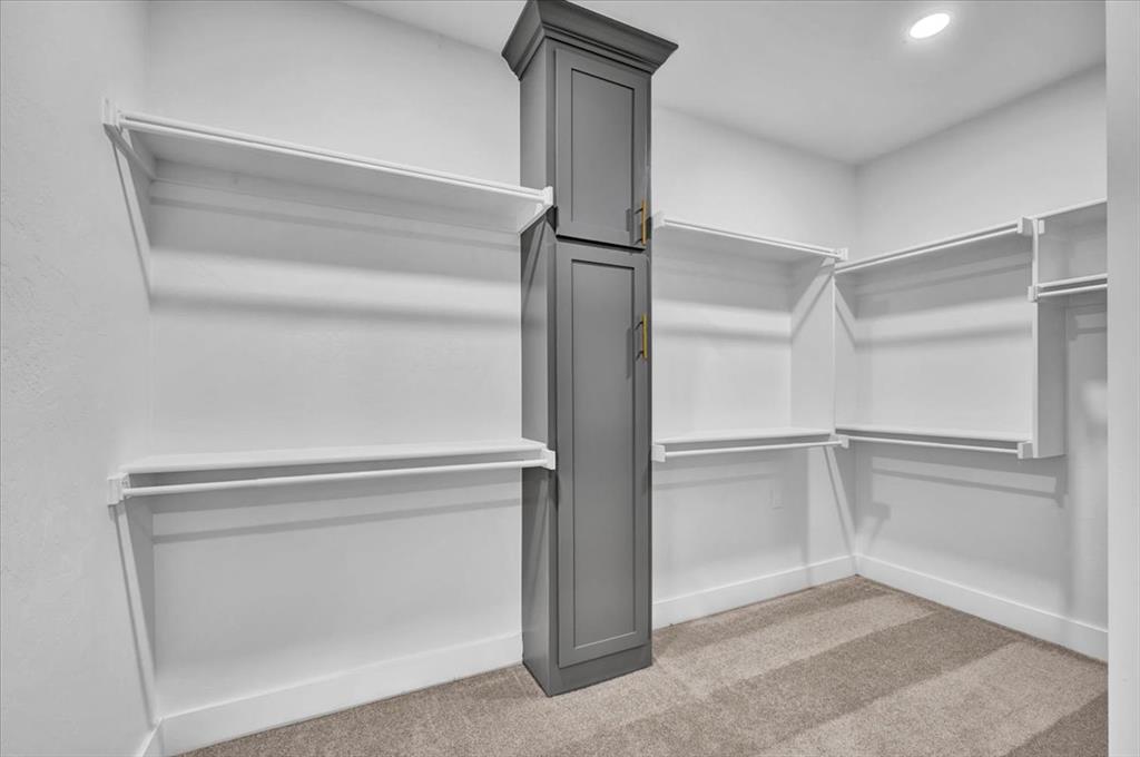 10848 Turkey Trot Trail