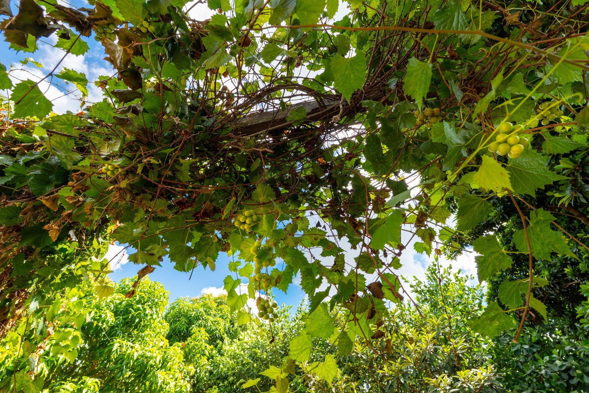 1460 Woodcrest Road E