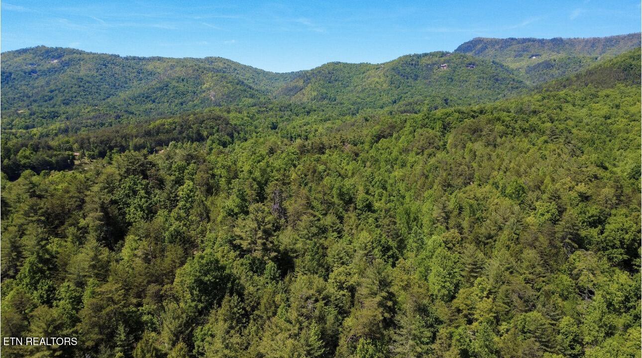 Rich Mountain Way