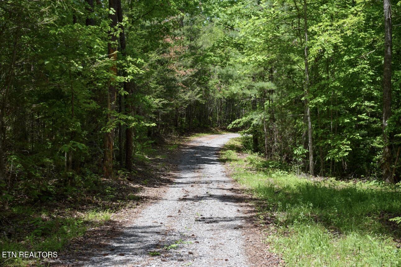 Rich Mountain Way