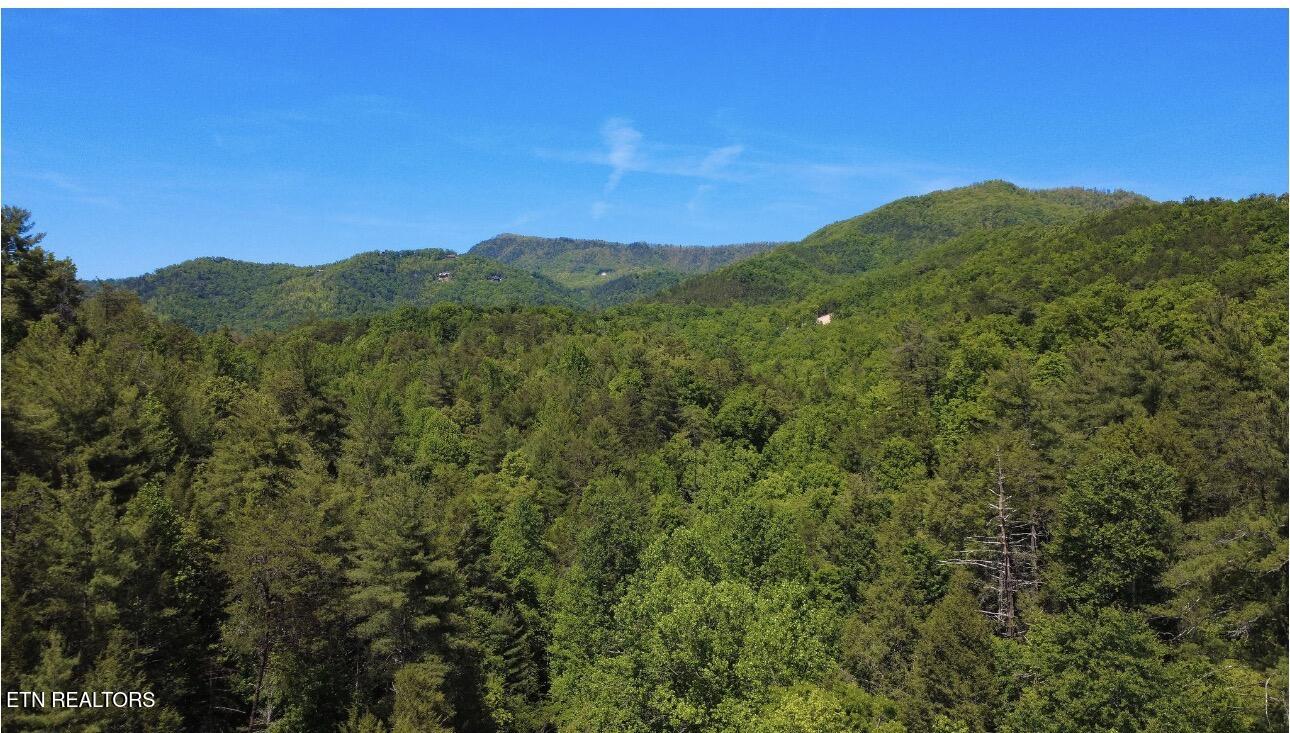 Rich Mountain Way