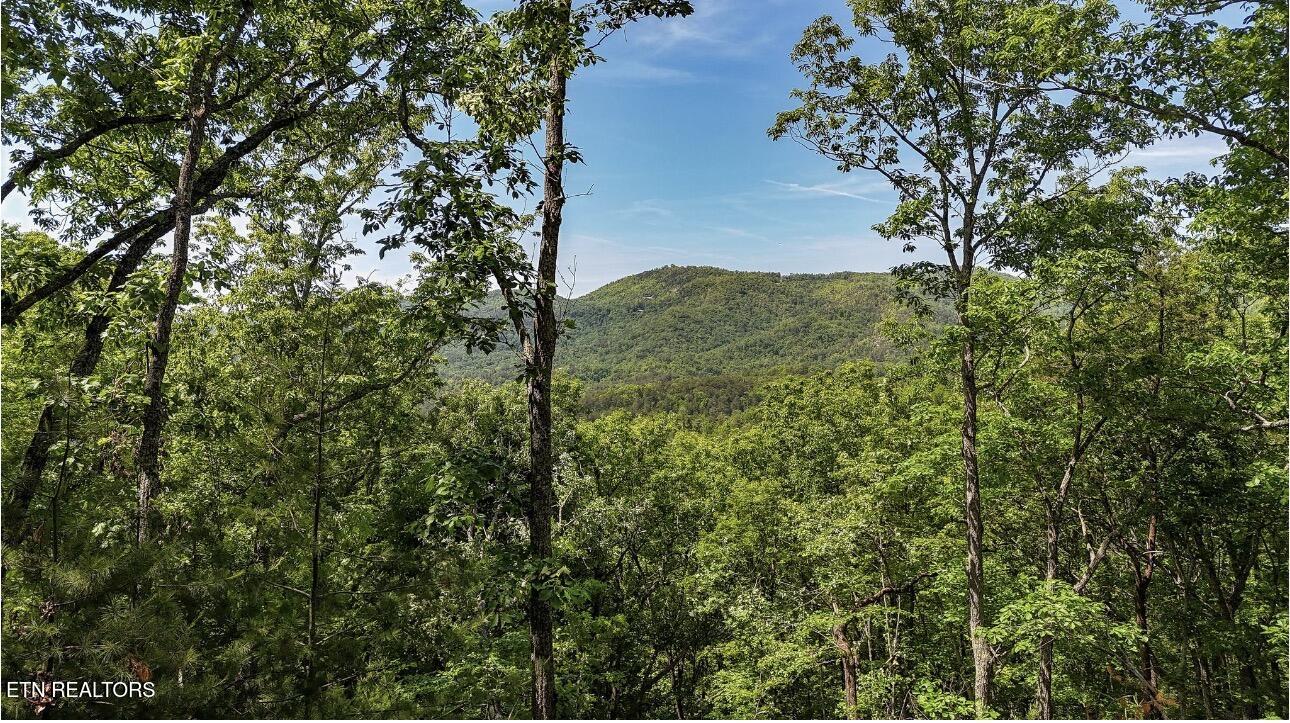 Rich Mountain Way