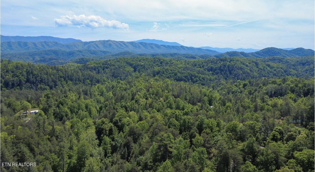 Rich Mountain Way