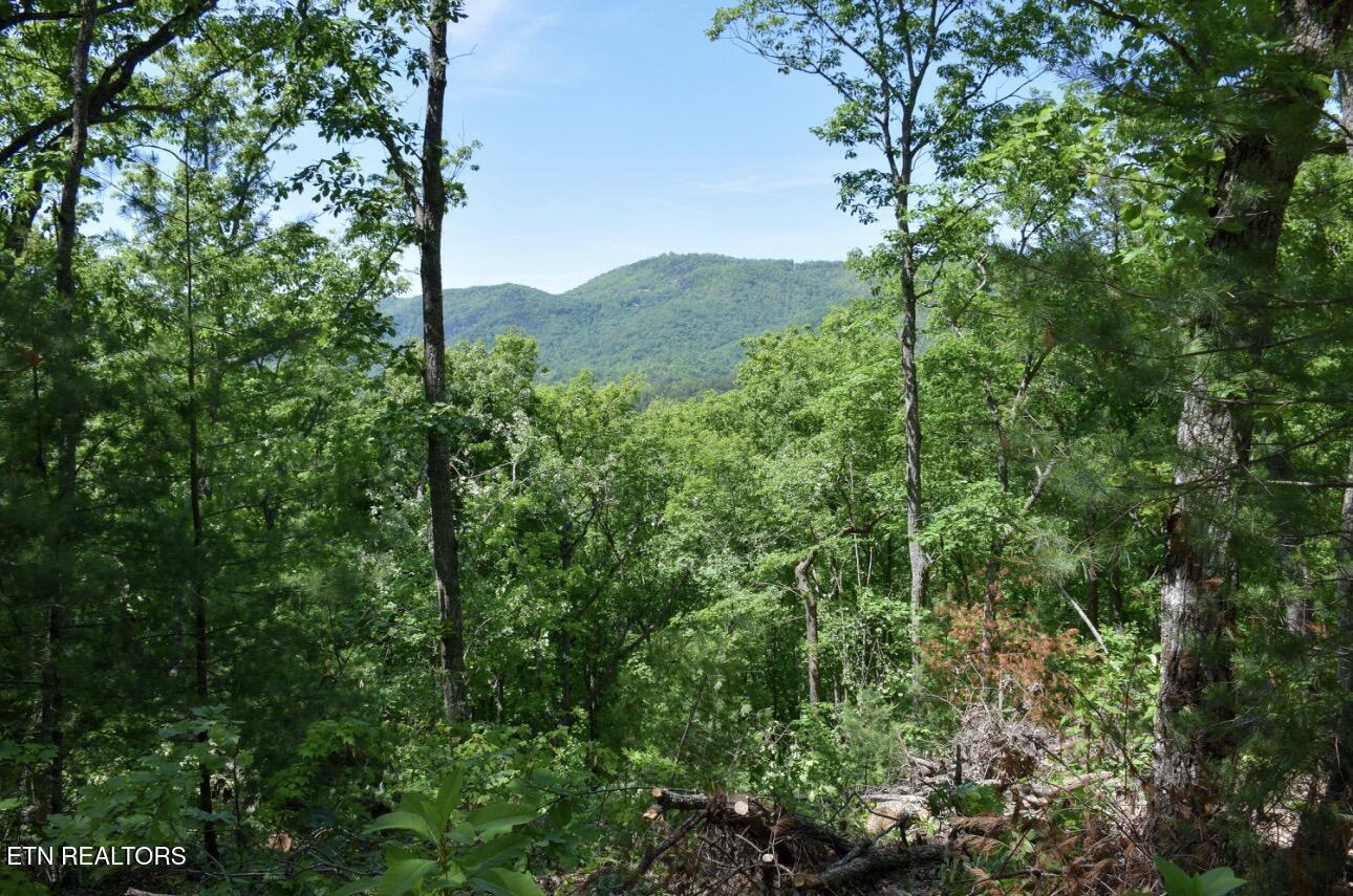 Rich Mountain Way