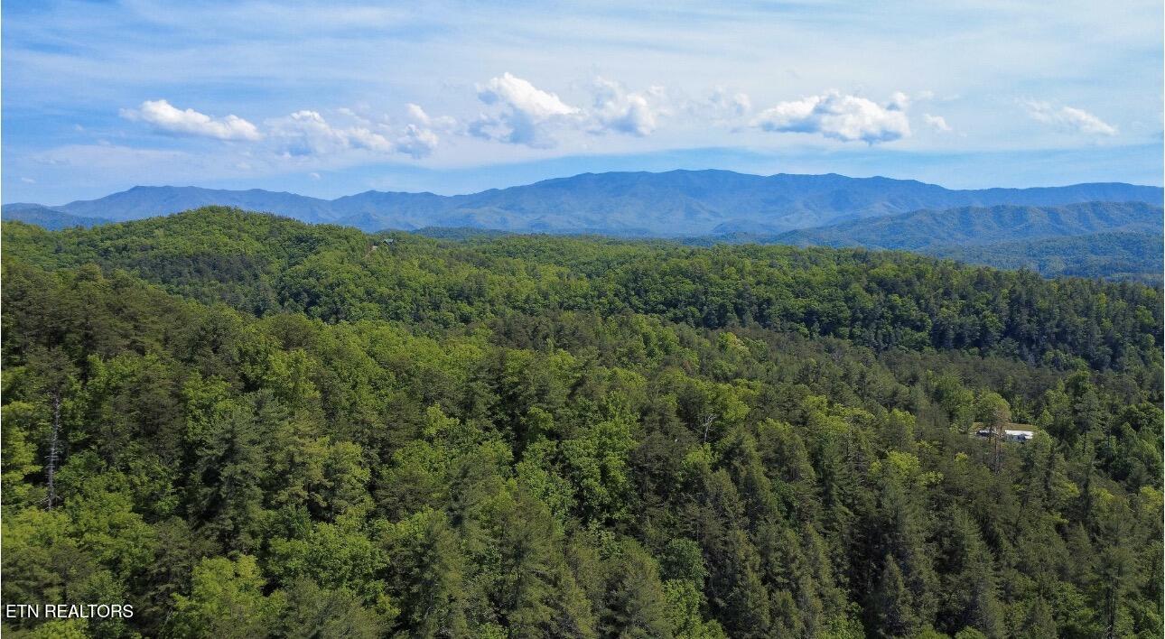 Rich Mountain Way