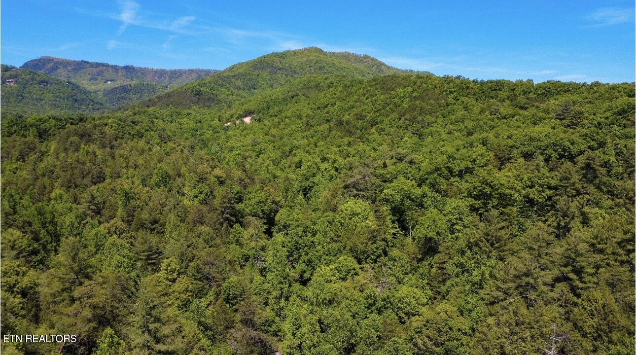 Rich Mountain Way