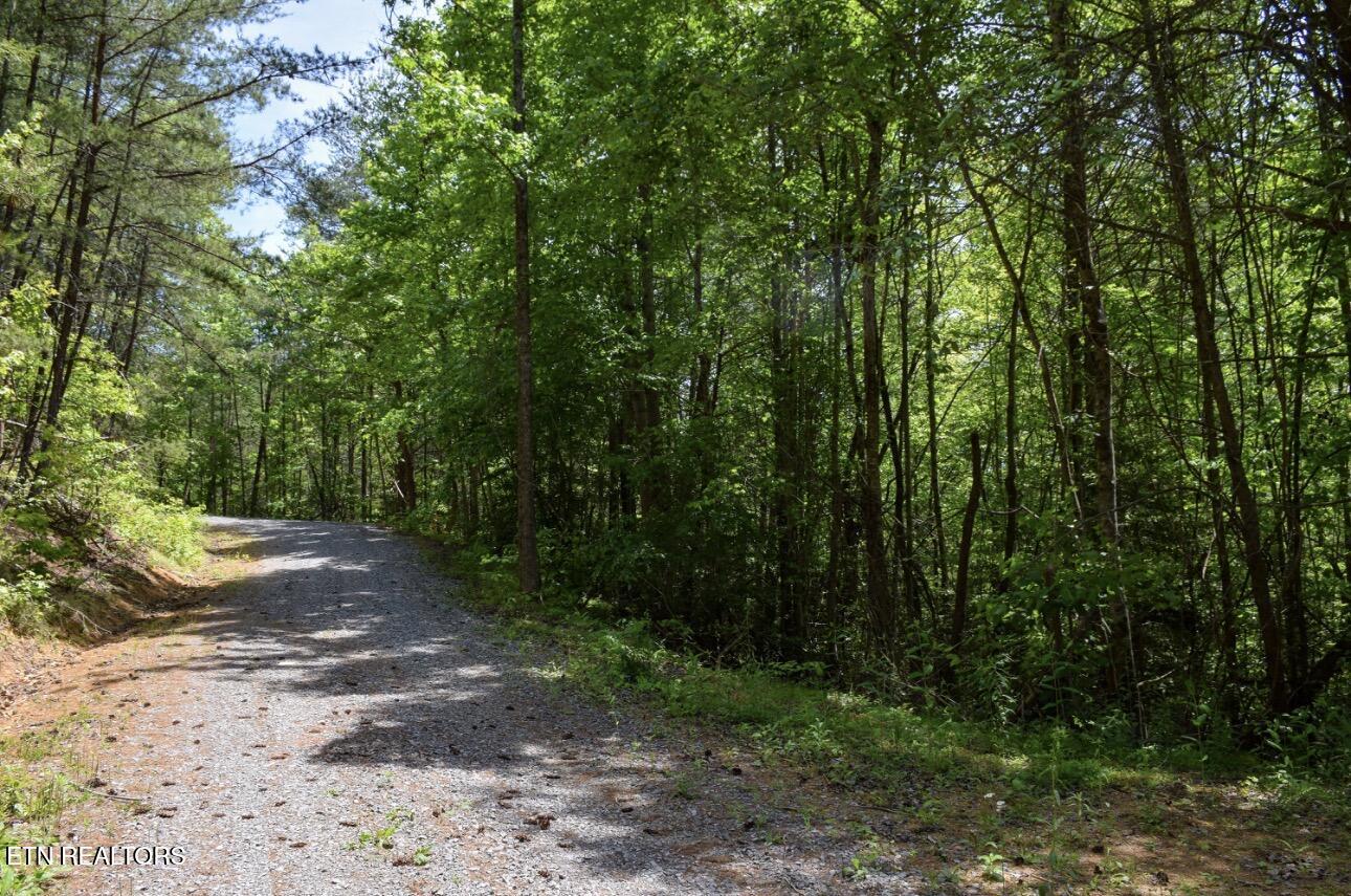 Bryant Hollow Lot 7 Way