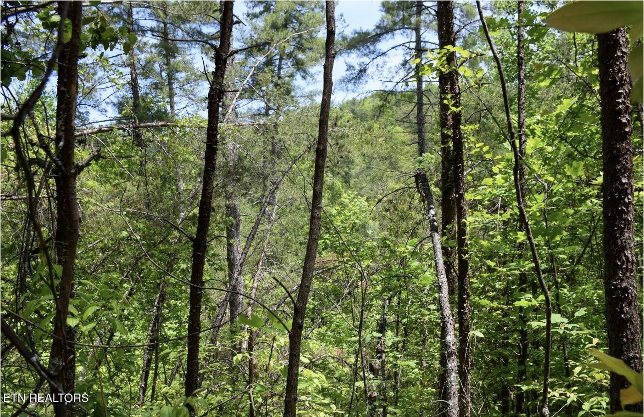 Bryant Hollow Lot 7 Way