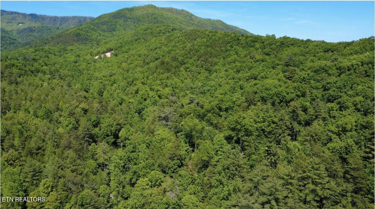 Bryant Hollow Lot 3 Way 066 032.00