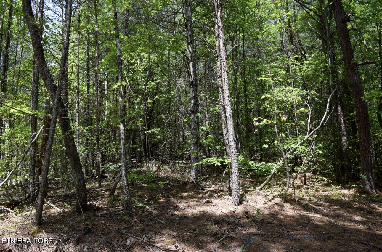 1840 Bryant Hollow Lot 5 Way
