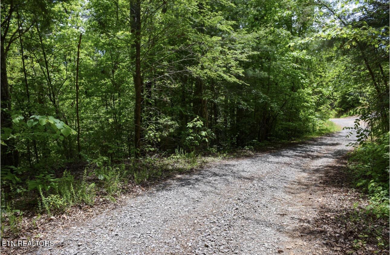 1840 Bryant Hollow Lot 5 Way