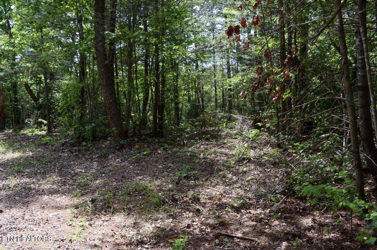 1840 Bryant Hollow Lot 5 Way