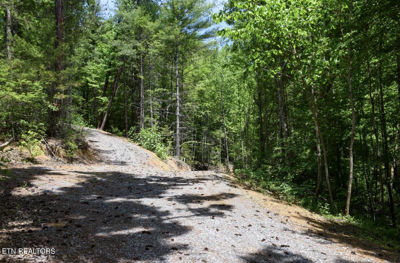 1840 Bryant Hollow Lot 5 Way
