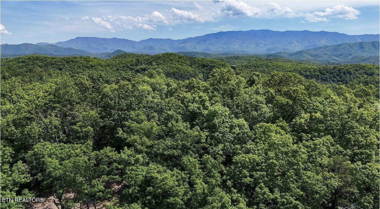 1840 Bryant Hollow Lot 5 Way