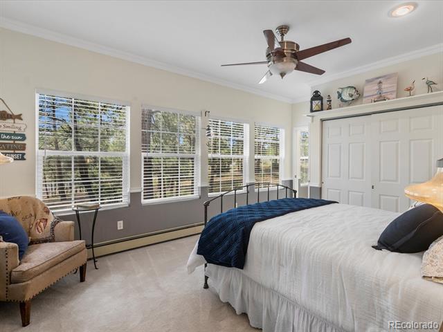 434 S White Tail Drive