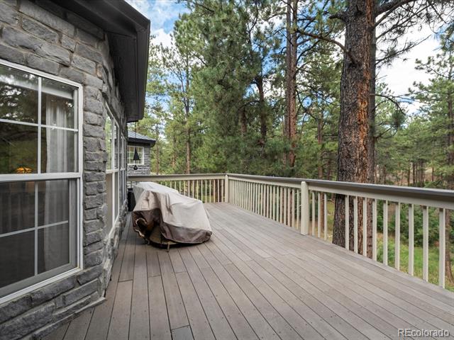 434 S White Tail Drive
