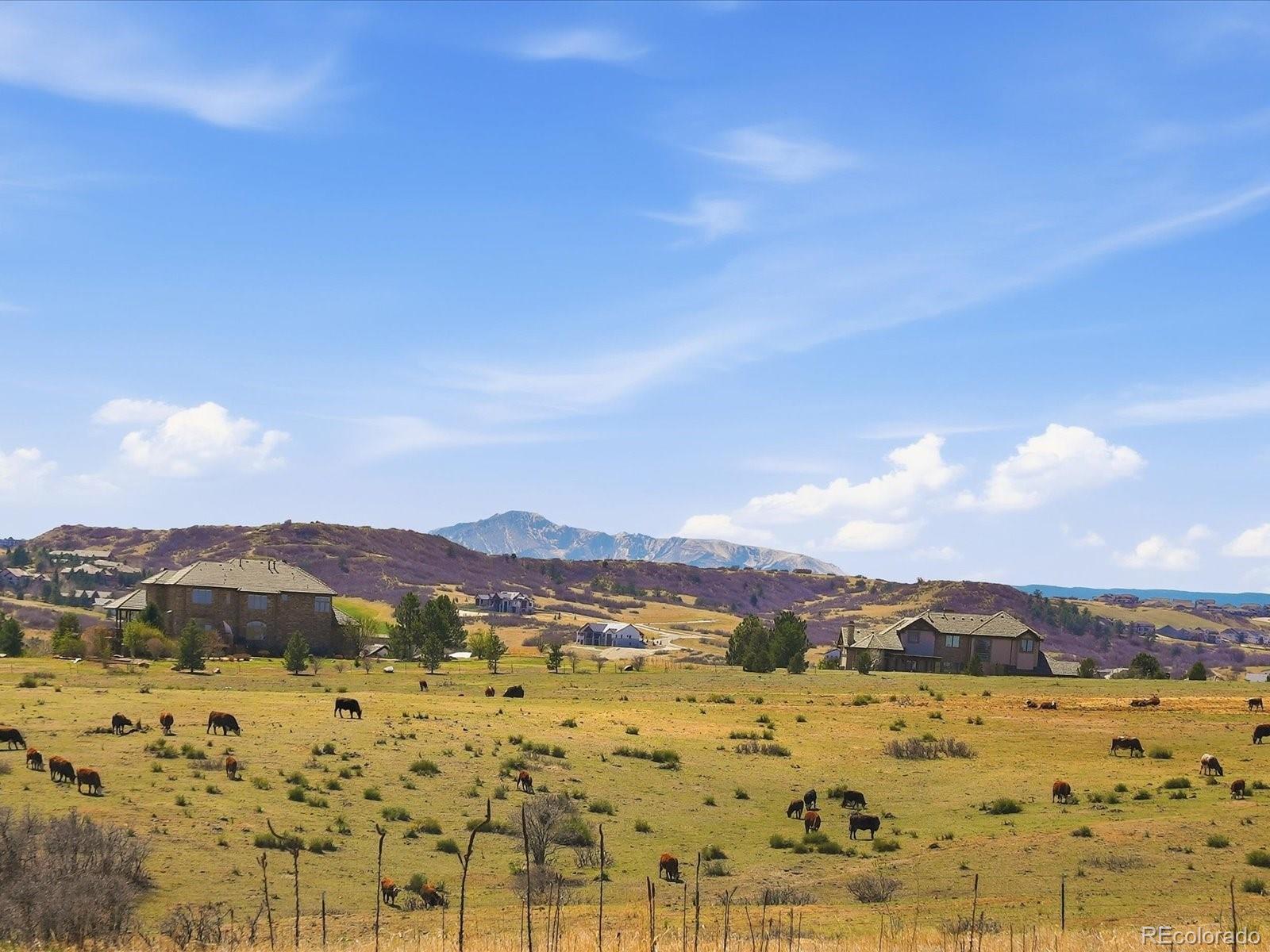 17252 Rose Mallow Avenue