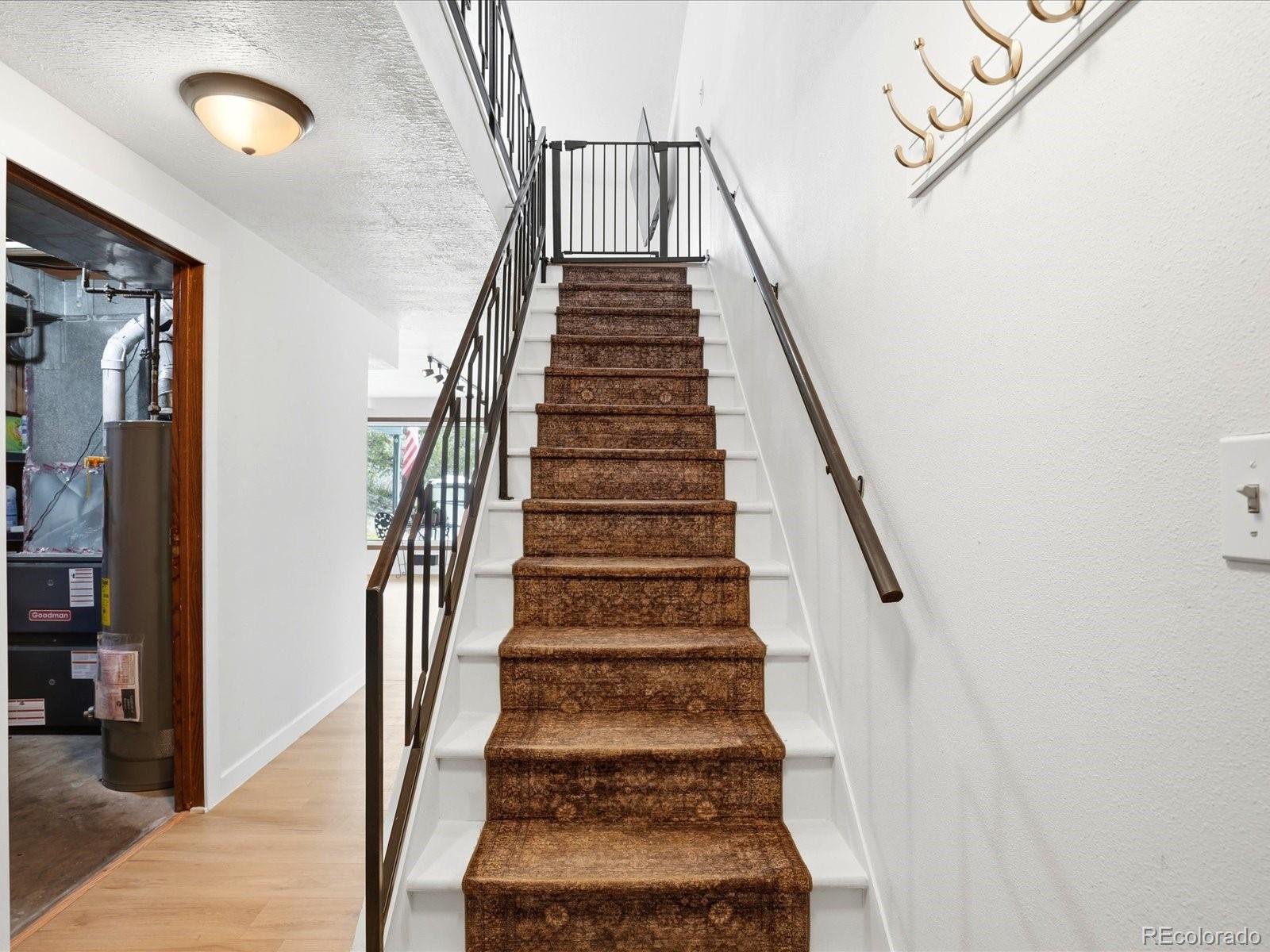 204 Bob Cat Trail