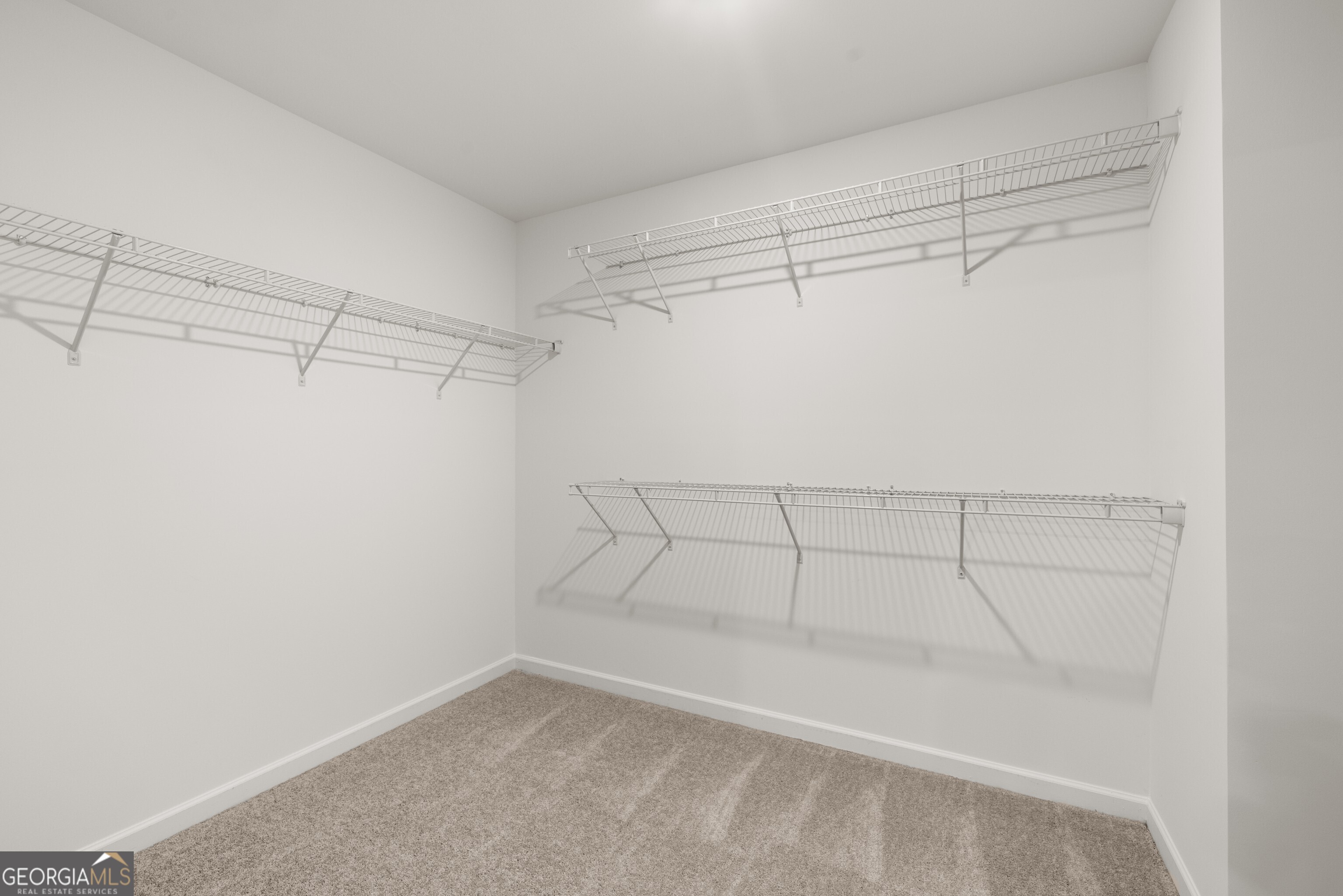 81 Saddlebred Way