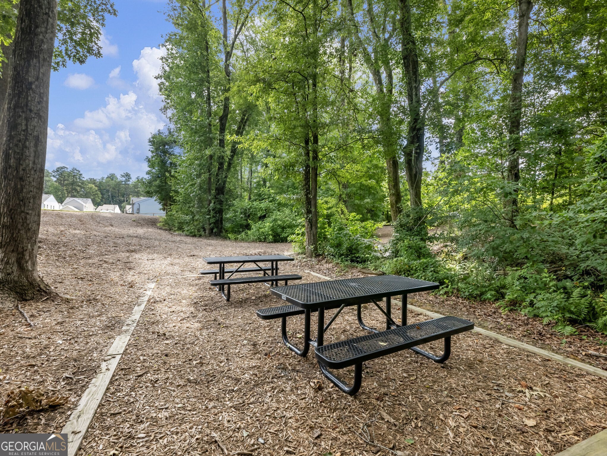 3790 Salvia Drive