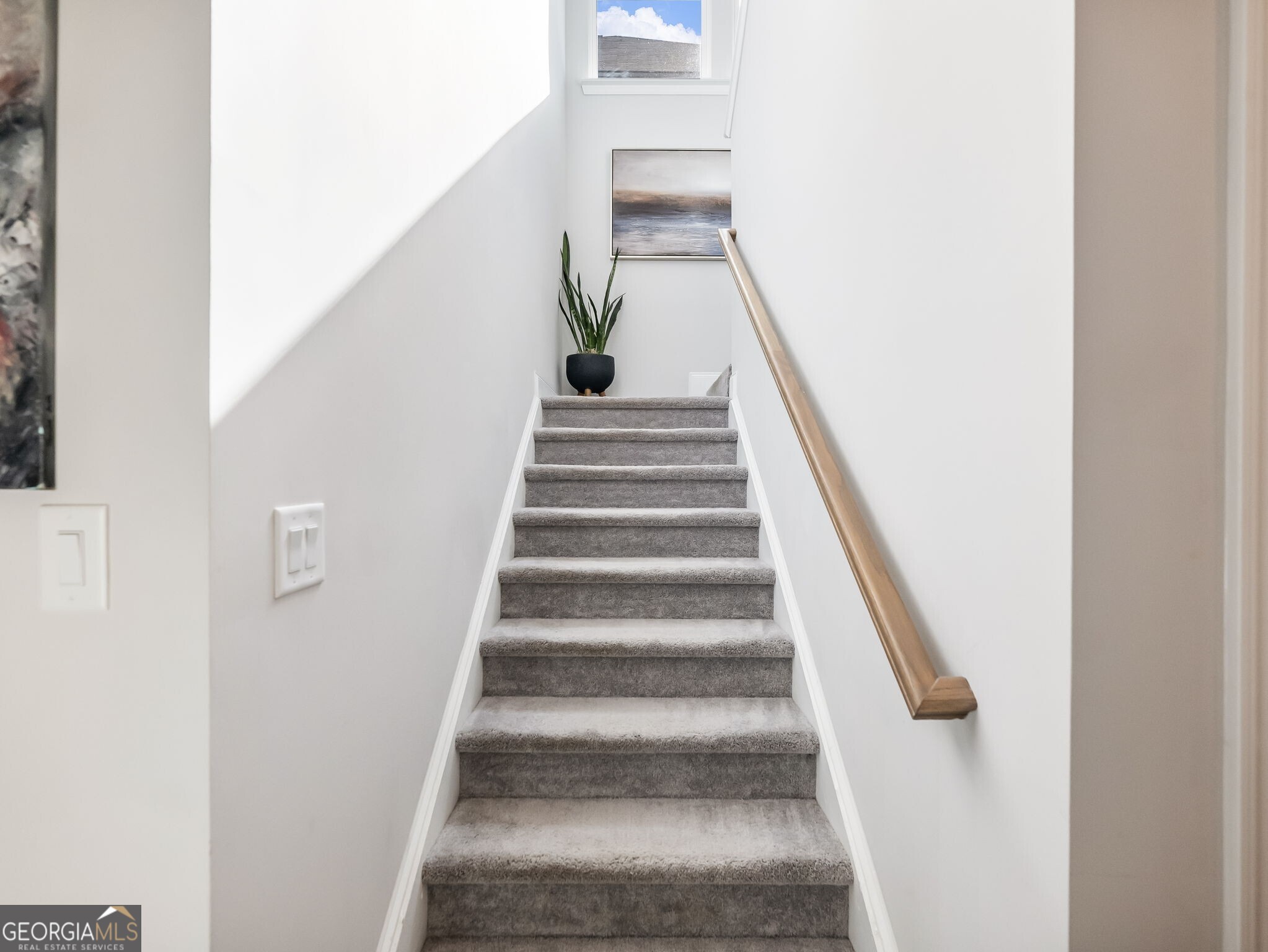 3790 Salvia Drive