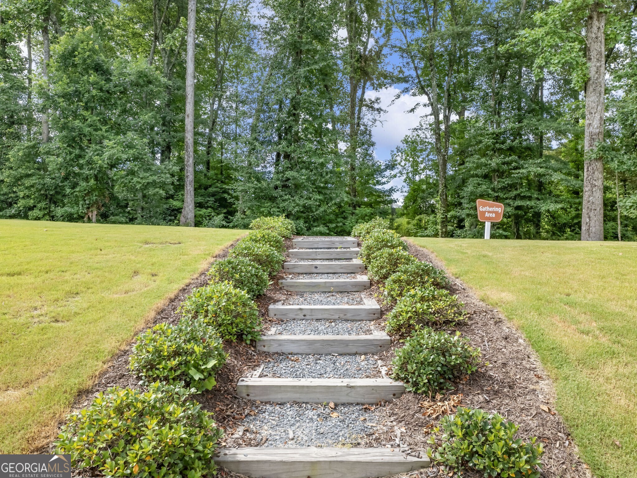 3790 Salvia Drive