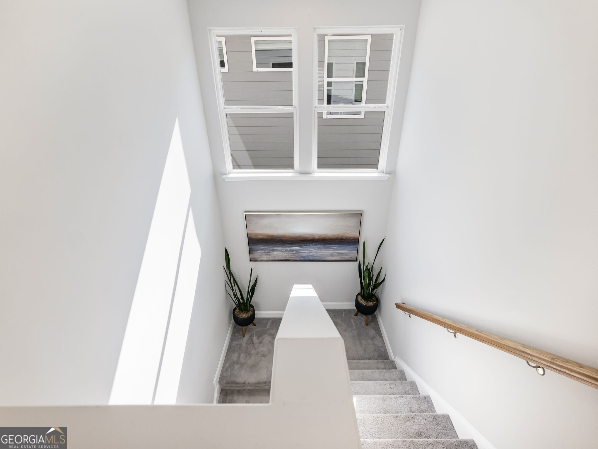 3790 Salvia Drive