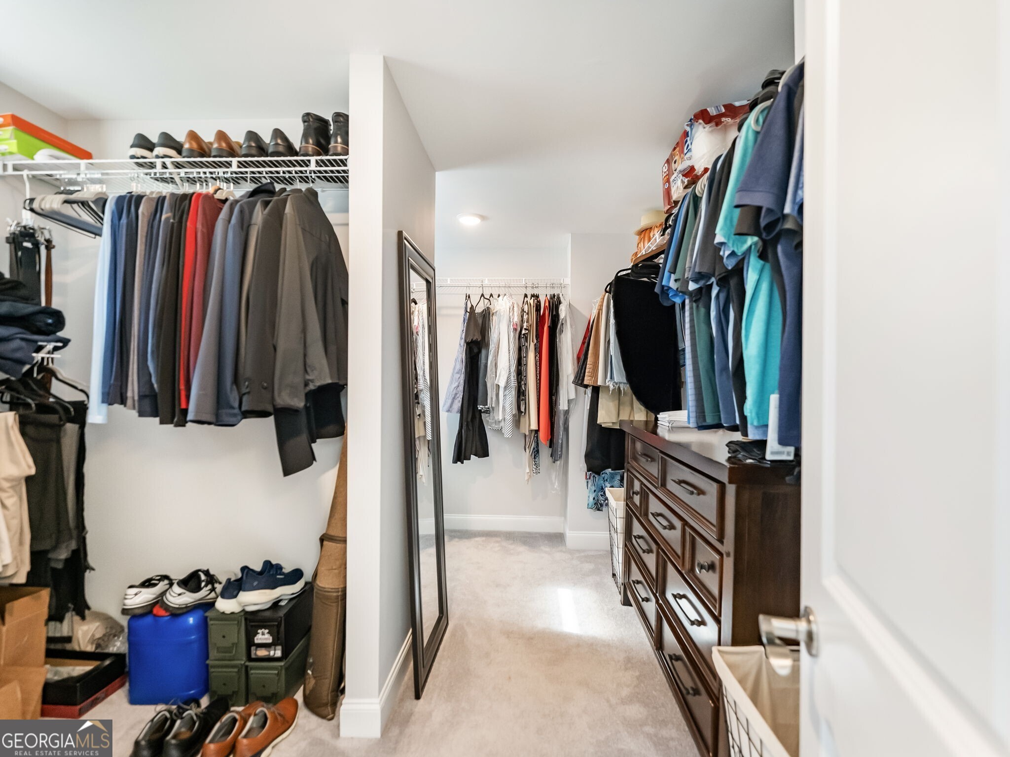 3790 Salvia Drive