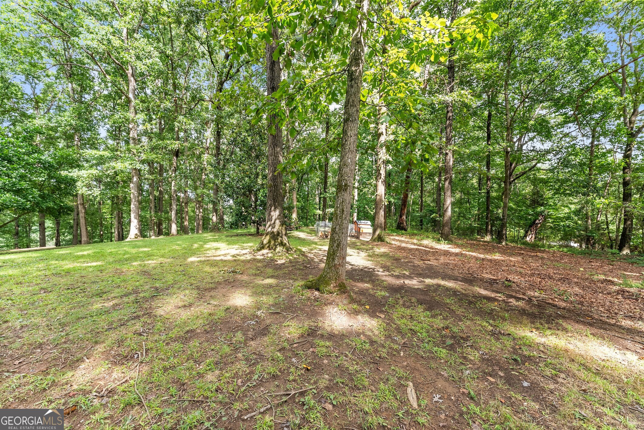 1509 Yonah Homer Road